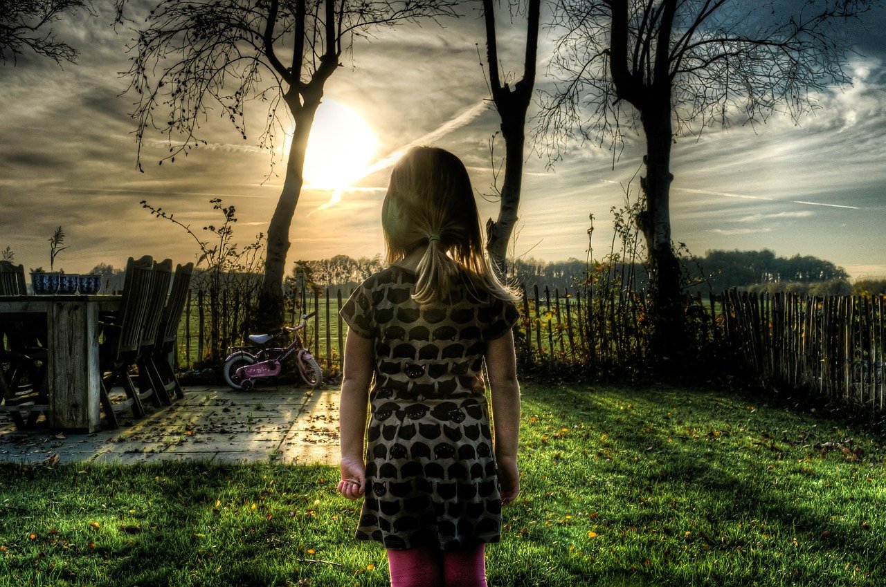 Comment amender le sol de votre jardin ?