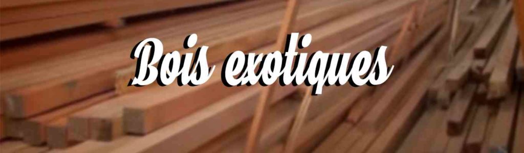 reparer une terrasse avec du bois exotique