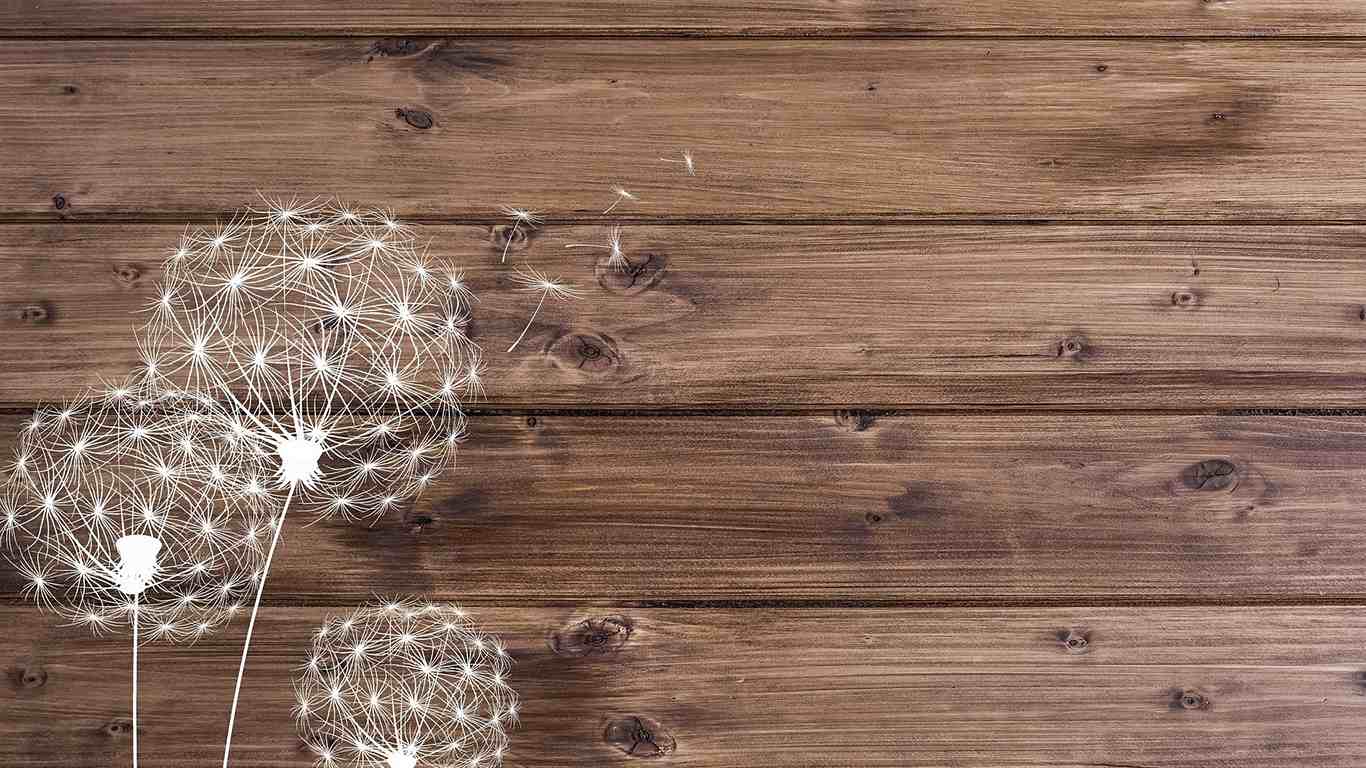 offrir en cadeau un arracheur de mauvaises herbes